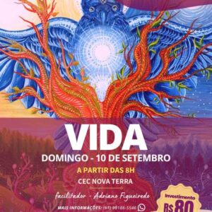 Vida