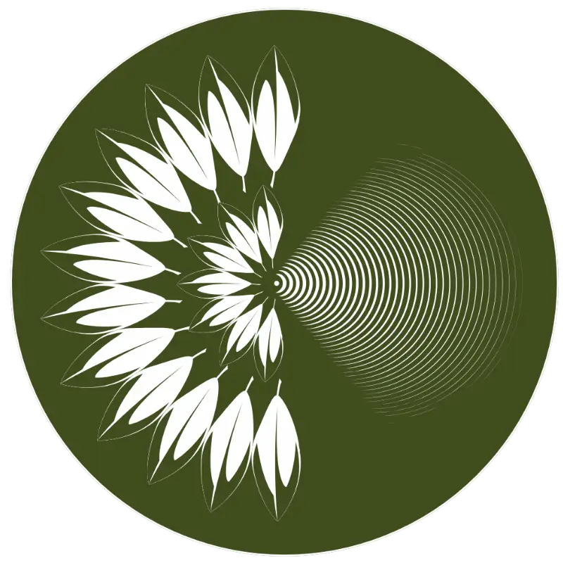 Logotipo do Instituto Ciência Nativa em Brasília